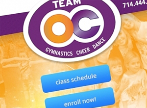 Image of Team OC site