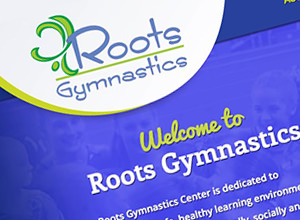 Image of Roots Gymnastics Academy site